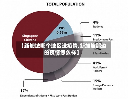 【新加坡哪个地区没疫情,新加坡那边的疫情怎么样】