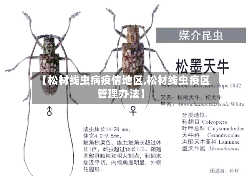 【松材线虫病疫情地区,松材线虫疫区管理办法】