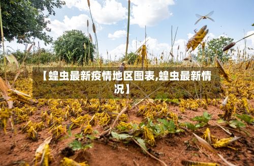 【蝗虫最新疫情地区图表,蝗虫最新情况】-第2张图片