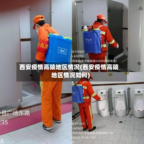 西安疫情高陵地区情况(西安疫情高陵地区情况如何)