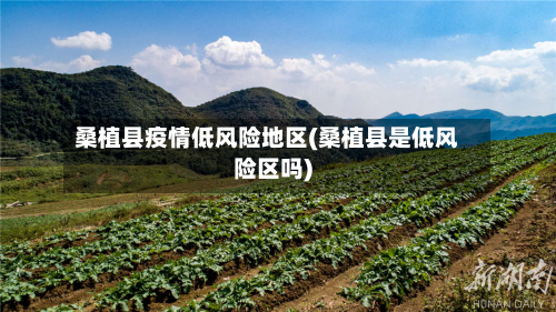桑植县疫情低风险地区(桑植县是低风险区吗)