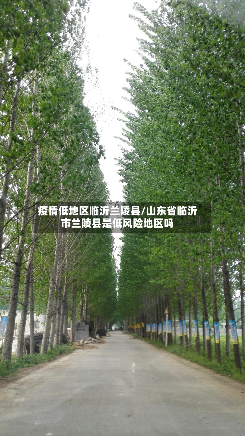 疫情低地区临沂兰陵县/山东省临沂市兰陵县是低风险地区吗