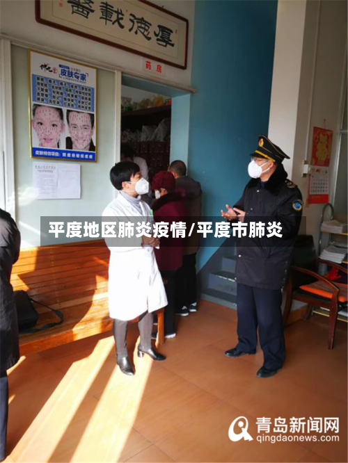 平度地区肺炎疫情/平度市肺炎