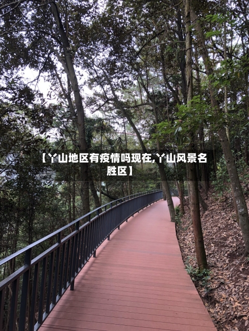 【丫山地区有疫情吗现在,丫山风景名胜区】