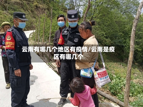 云南有哪几个地区有疫情/云南是疫区有哪几个