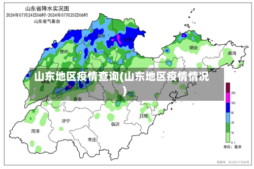 山东地区疫情查询(山东地区疫情情况)-第3张图片