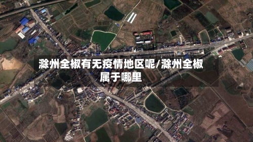 滁州全椒有无疫情地区呢/滁州全椒属于哪里-第3张图片
