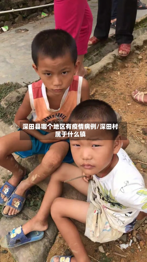 深田县哪个地区有疫情病例/深田村属于什么镇-第3张图片